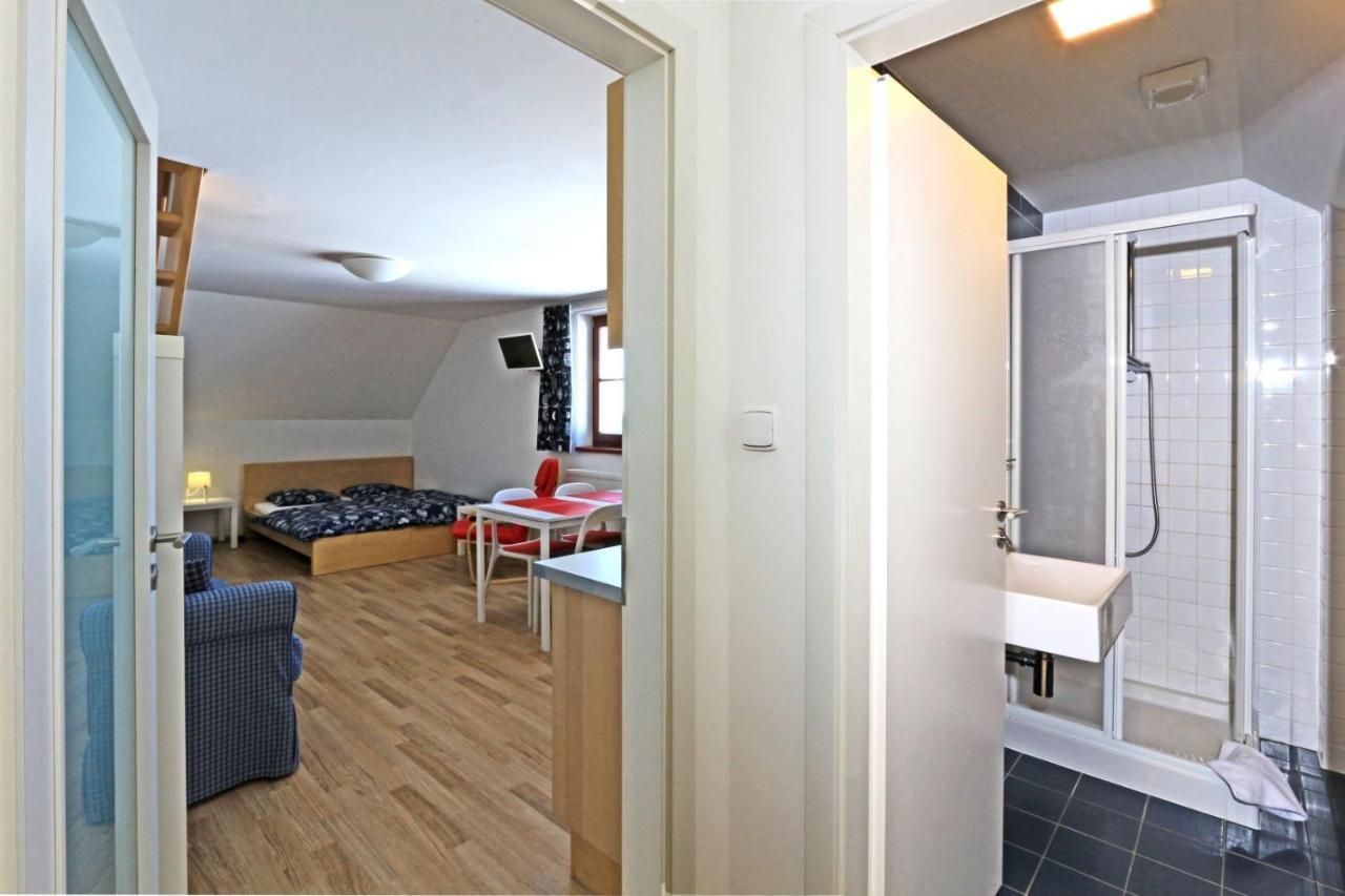 Apartmany Fox Boží Dar المظهر الخارجي الصورة